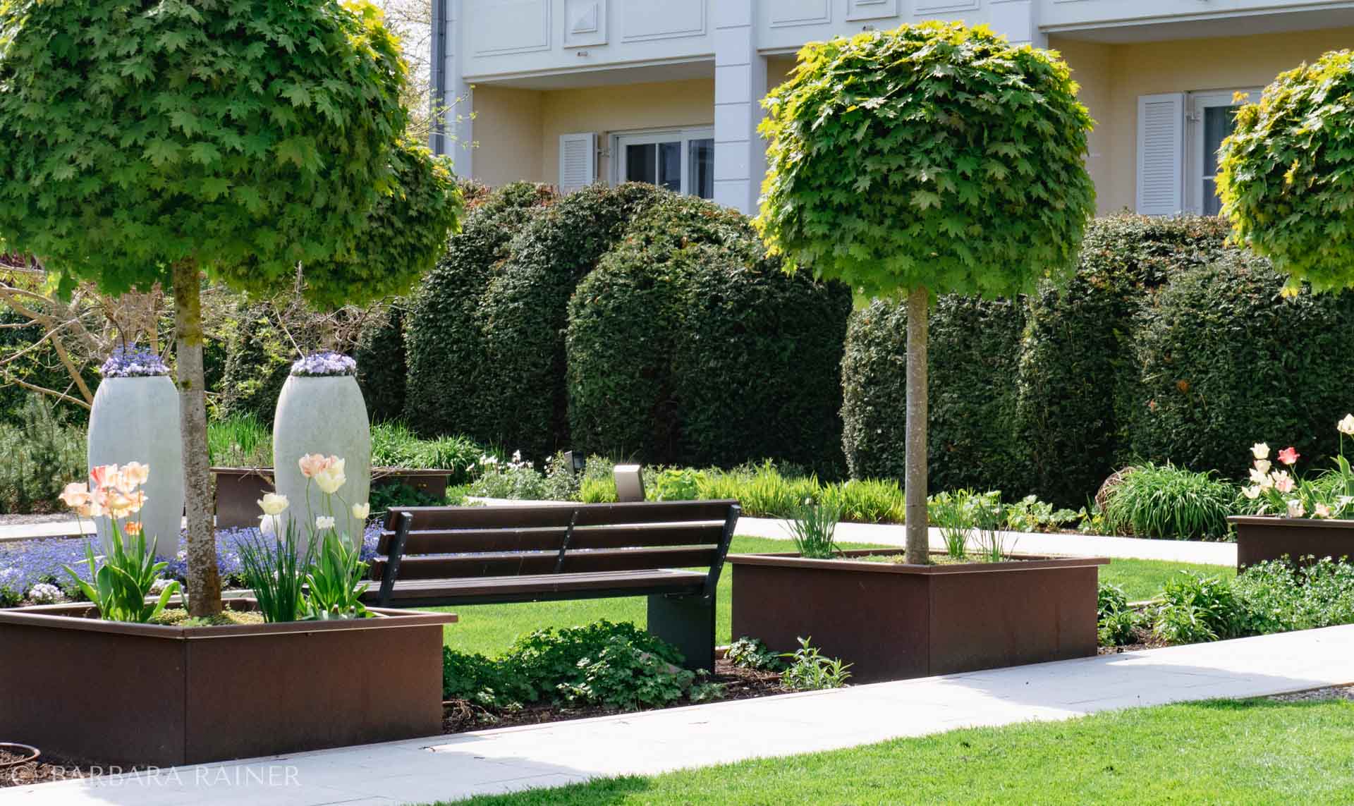 Hotelgarten mit Bank zwischen Kugelahornen und ruhiger Pflanzstruktur.