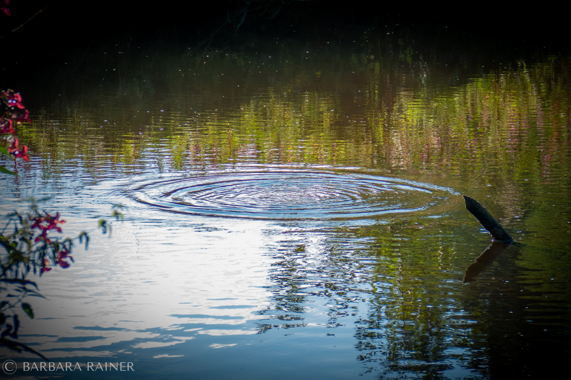 Wasser nimmt Stimmung auf und gibt sie zurück. Fotografie: Barbara Rainer.