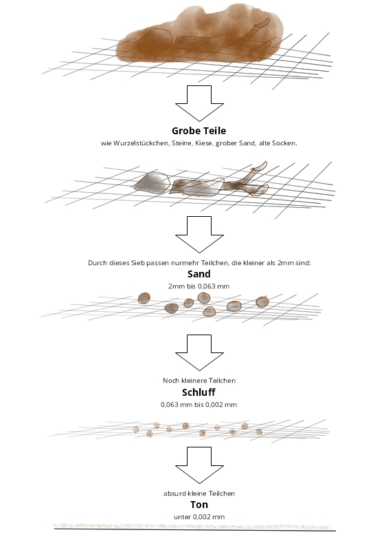Bodenarten Sand, Schluff, Ton – Korngrößen-Vergleich