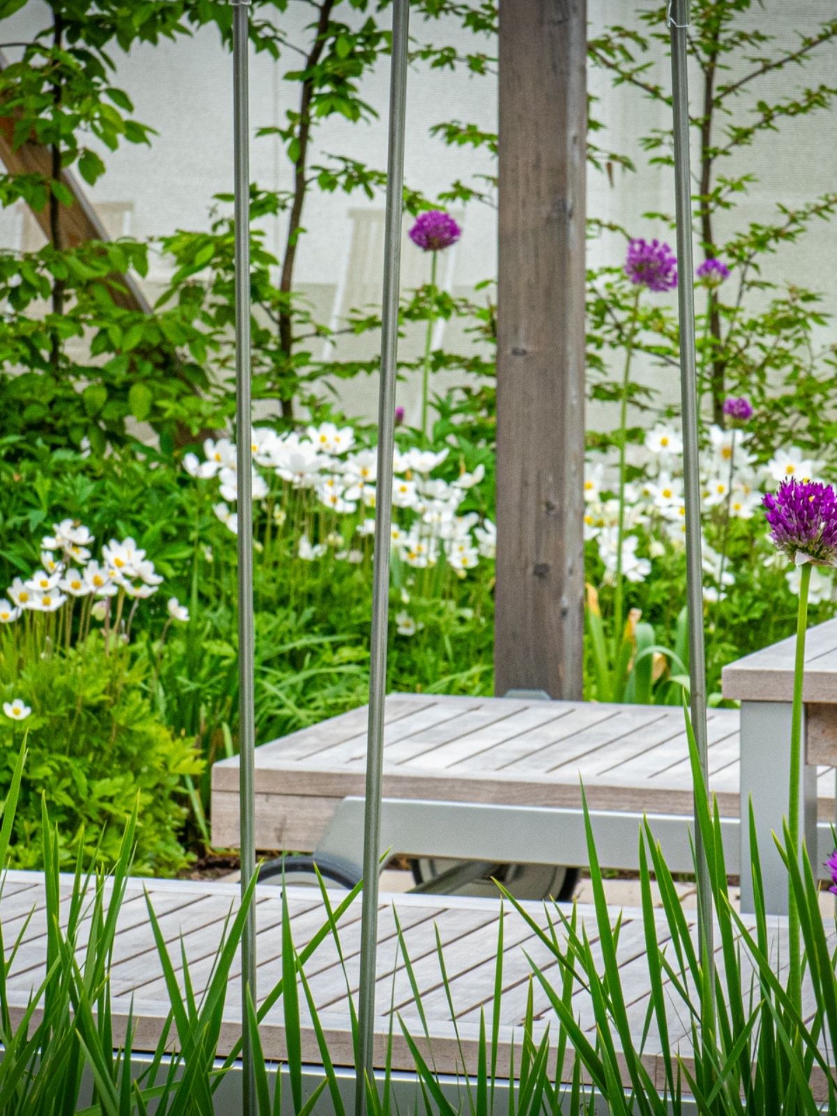 Terrasse im Hotelgarten mit Holzbank, Anemonen und Allium zwischen Gräsern.
