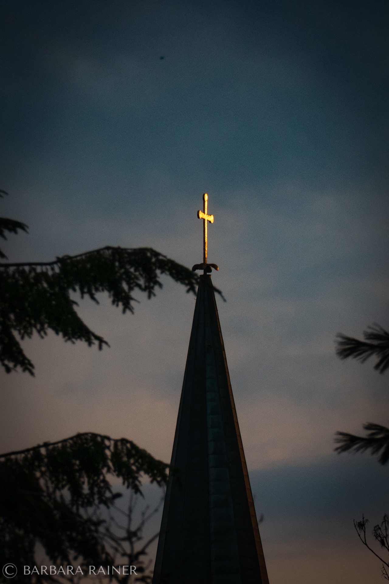 Vergoldetes Kirchturmkreuz im Dämmerlicht über Baumsilhouetten