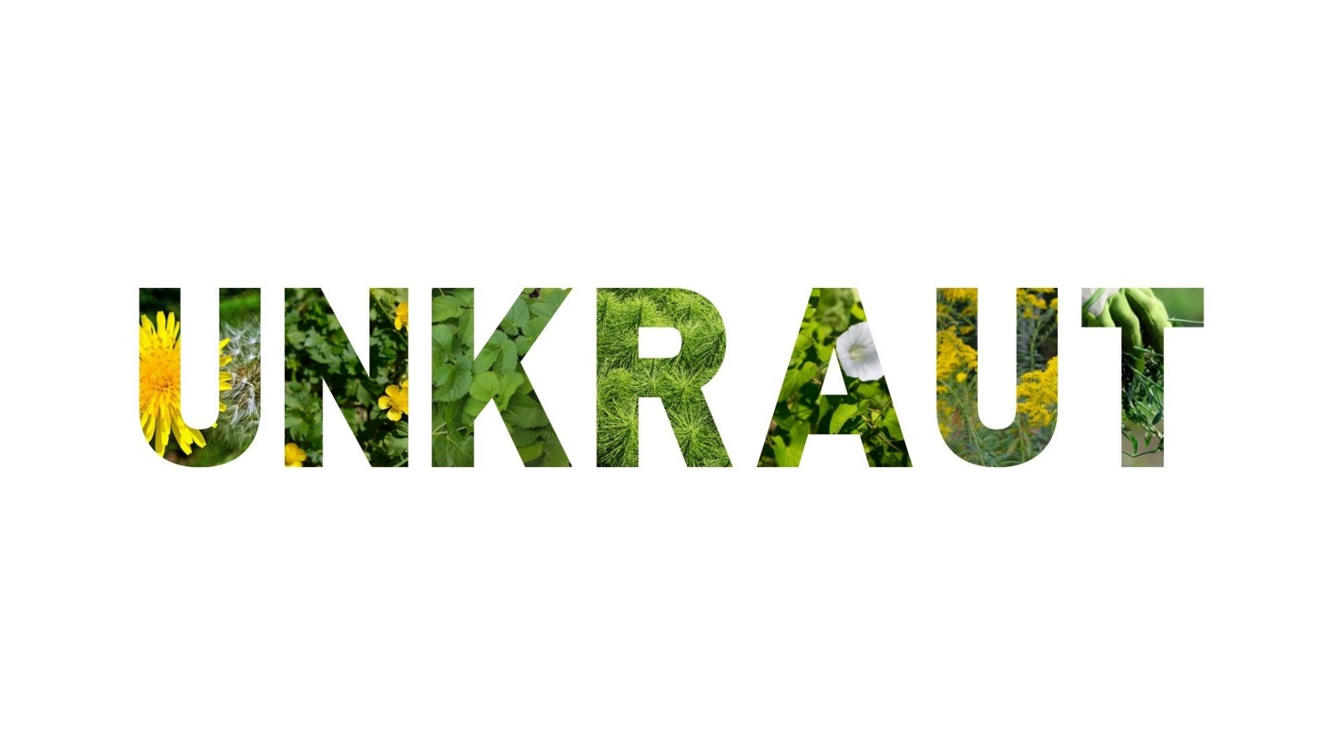 Schriftzug UNKRAUT, gefüllt mit Bildern von Löwenzahn, Giersch, Ackerschachtelhalm, Goldrute, Zaunwinde und Hand im Gartenhandschuh