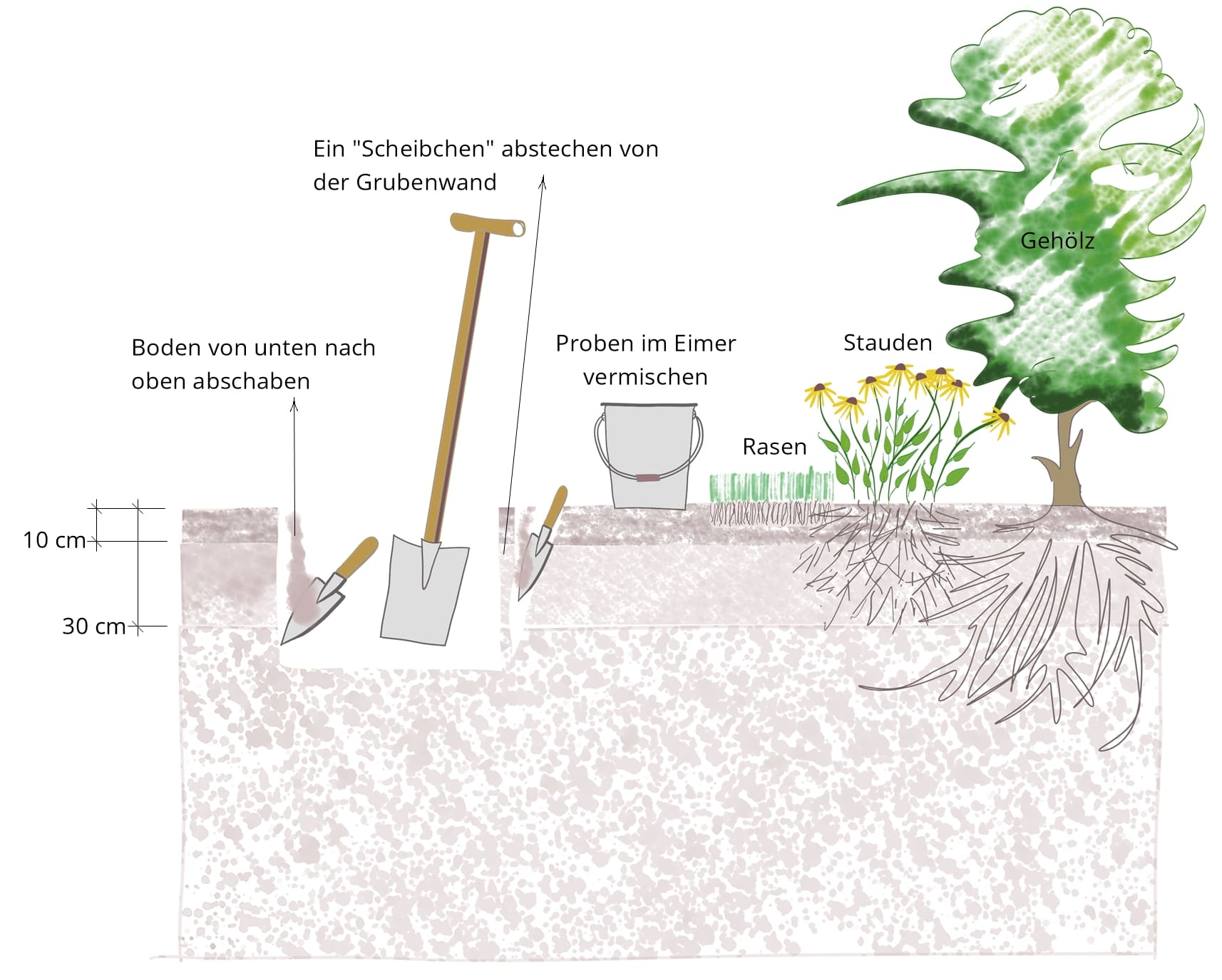 Bodenprobe richtig nehmen – mit Spaten und Eimer im Garten