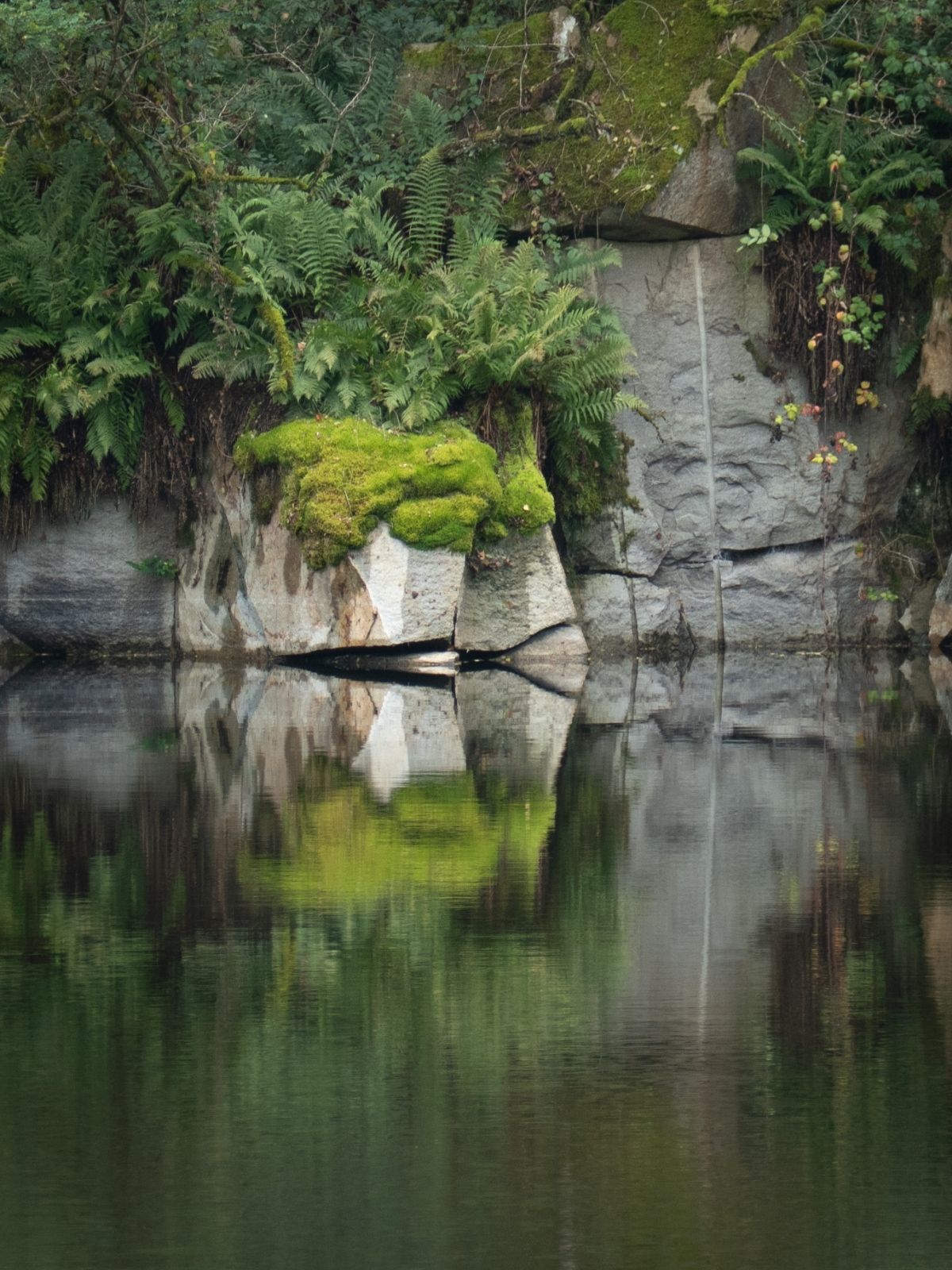 Der Geist eines Ortes – Genius Loci in der Gartengestaltung