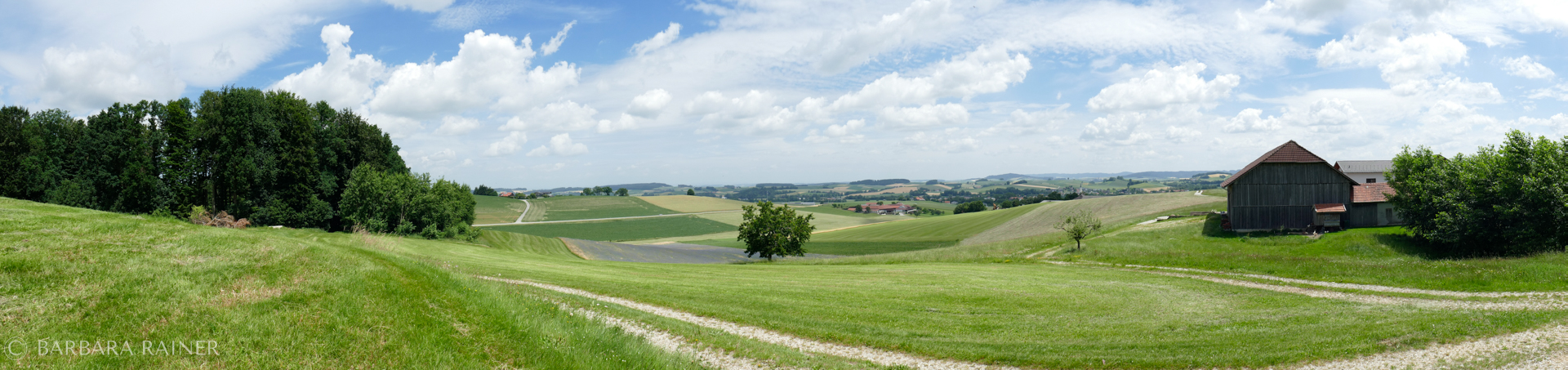 Sanfte Hügellandschaft mit Feldweg, Wolkenhimmel und Scheune im Junilicht