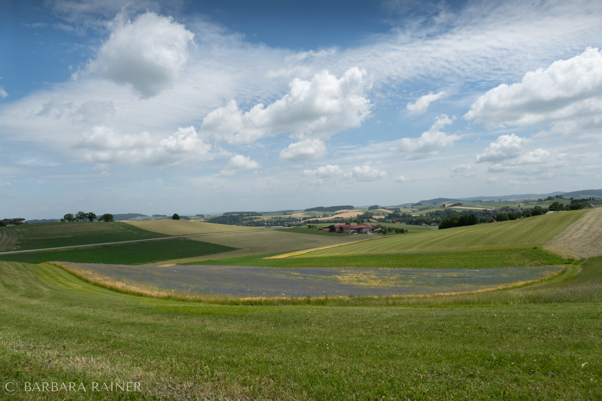 Weite Kulturlandschaft mit sanften Hügeln und Sommerwolken