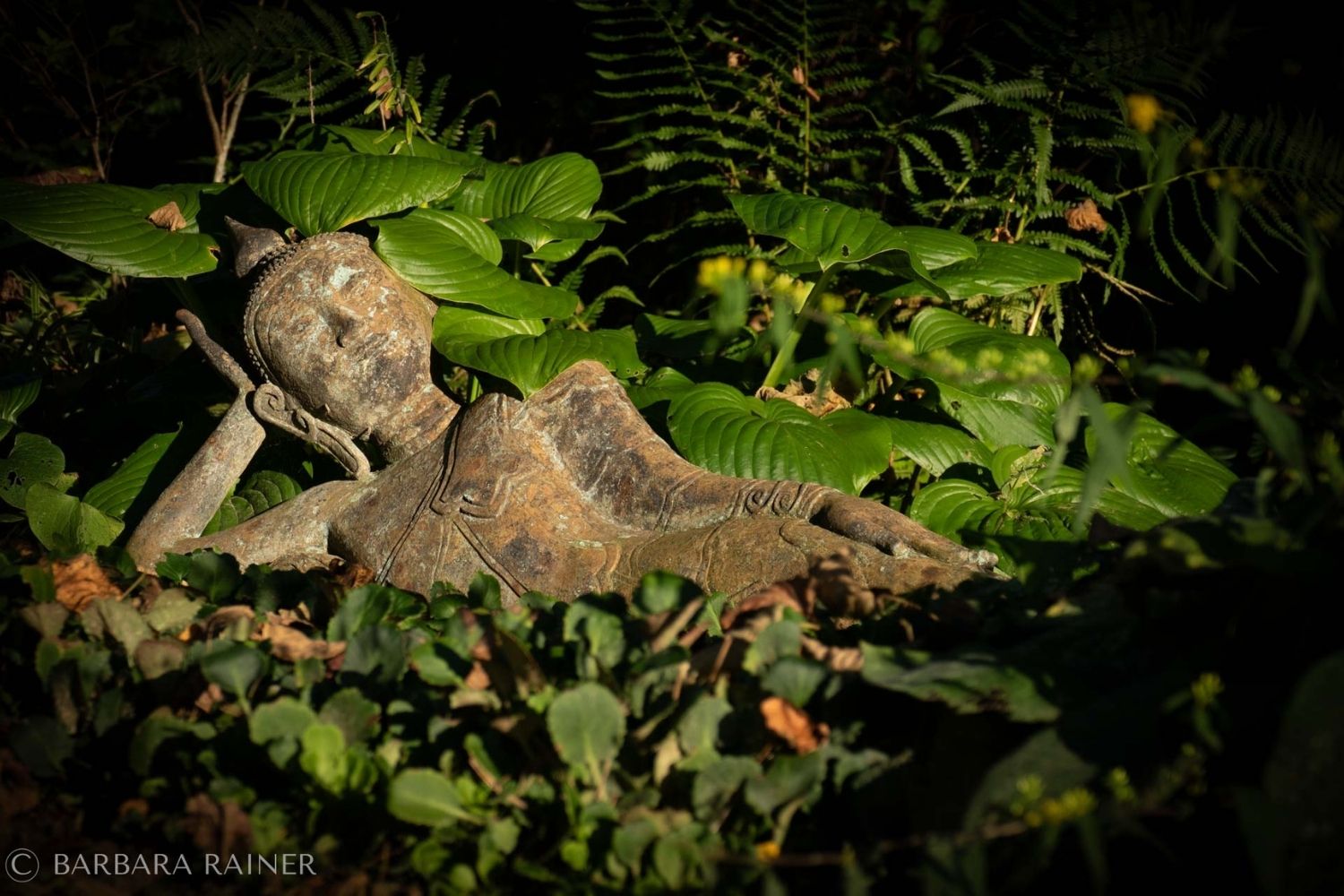 Liegende steinerne Figur im Halbschatten zwischen Hostablättern und Farnen – ein Ort mit eigenem Geist