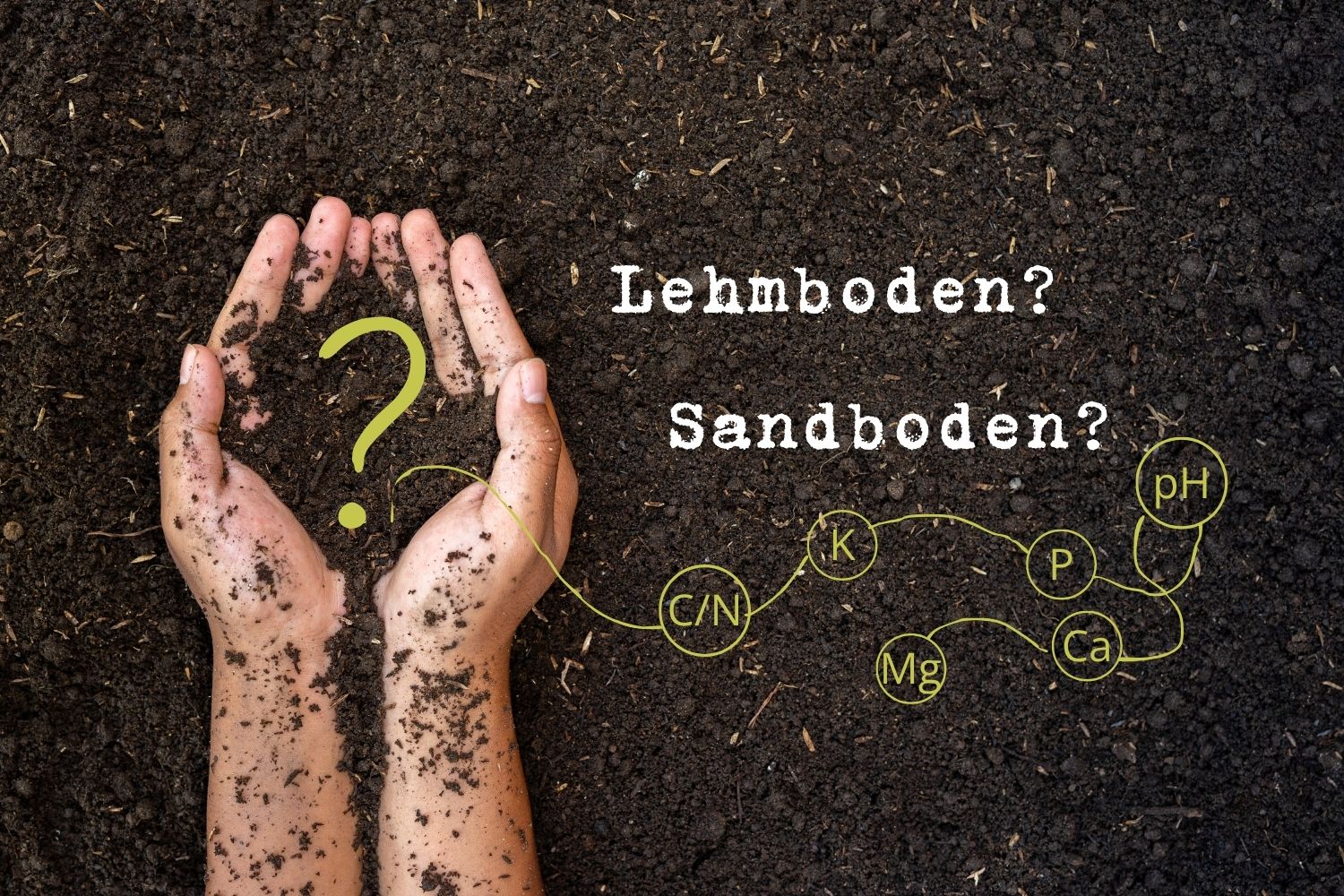 Bodenprobe für die Laboranalyse