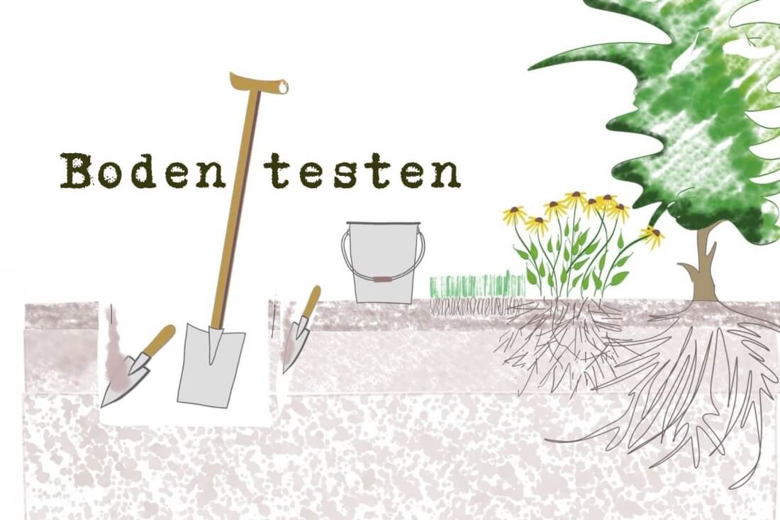 Bodenart bestimmen und Boden nachhaltig verbessern