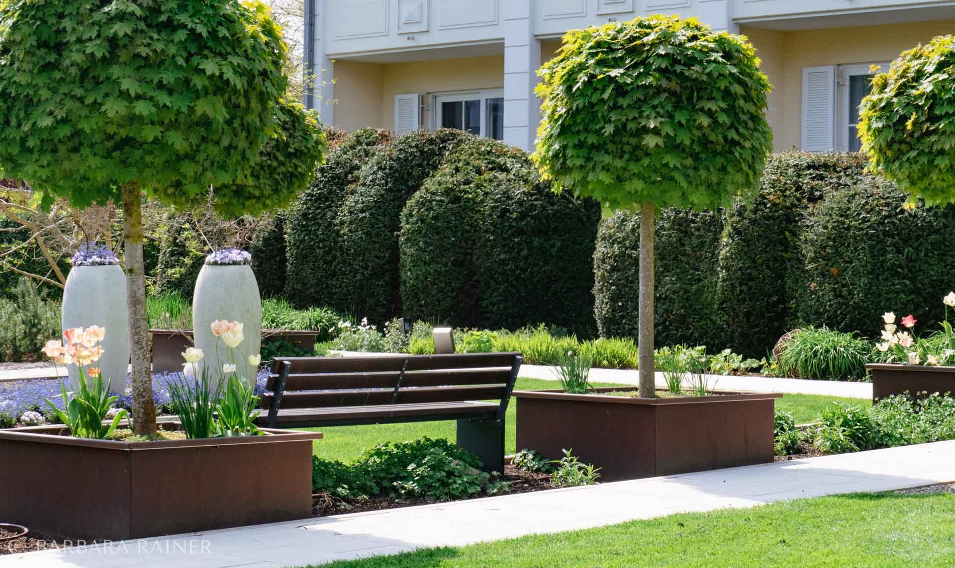 Hotelgarten mit Kugelahorn, Formgehölzen und Tulpen