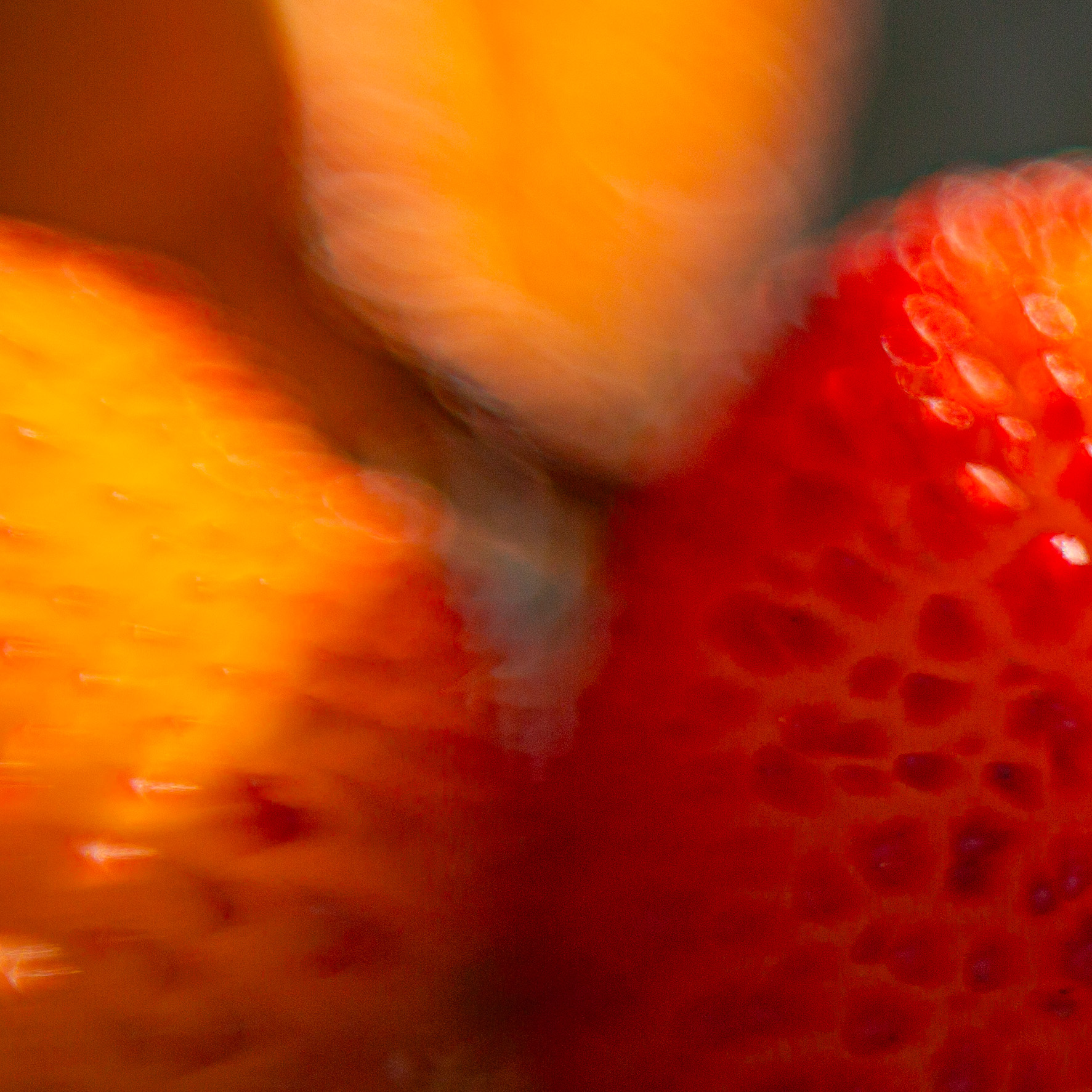 Erdbeerrot und Orange – Frucht im fließenden Licht