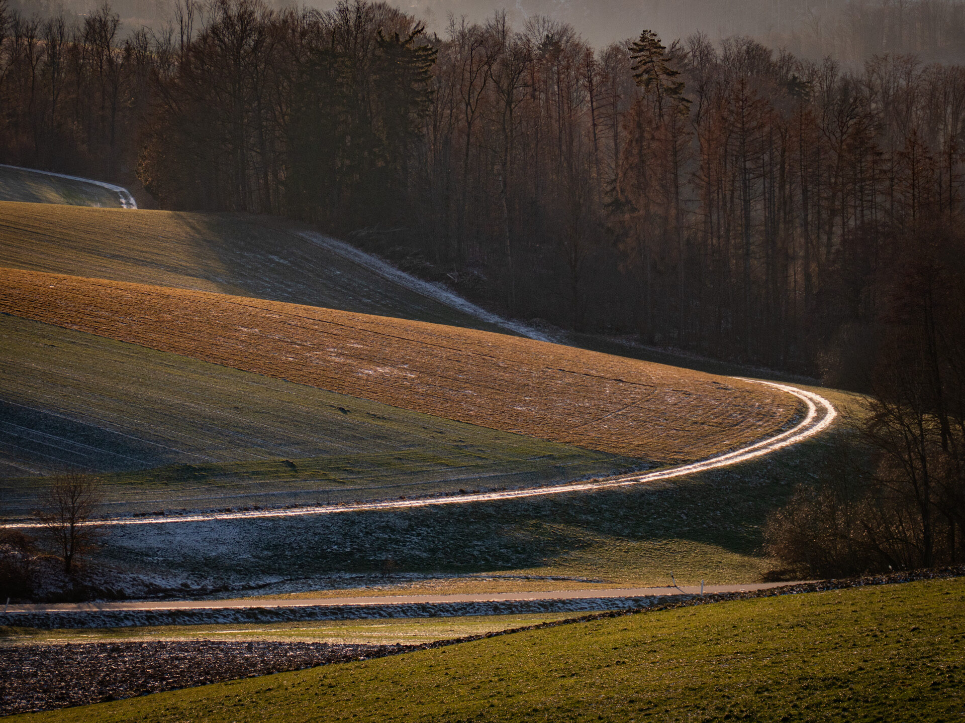 Weg im Winterlicht, sanft gekrümmt durch Felder