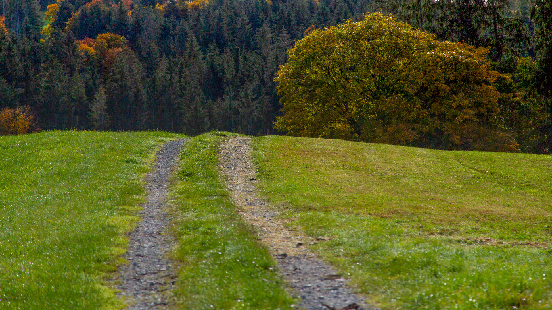 Weg, der zum Himmel führt