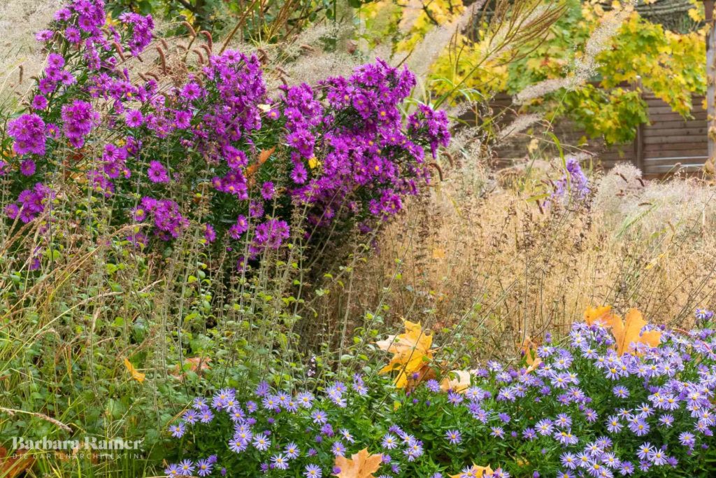 Blütenpracht im naturnahen Garten kannst du planen. Damit das ganze Jahr etwas blüht kombiniert du die Pflanzen miteinander und schaust in der Natur ab, wie das geht.